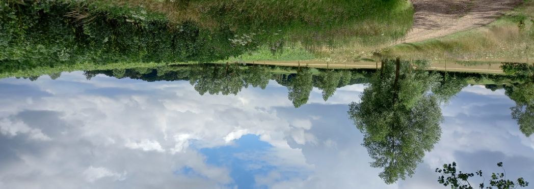 Image of Braxted Park