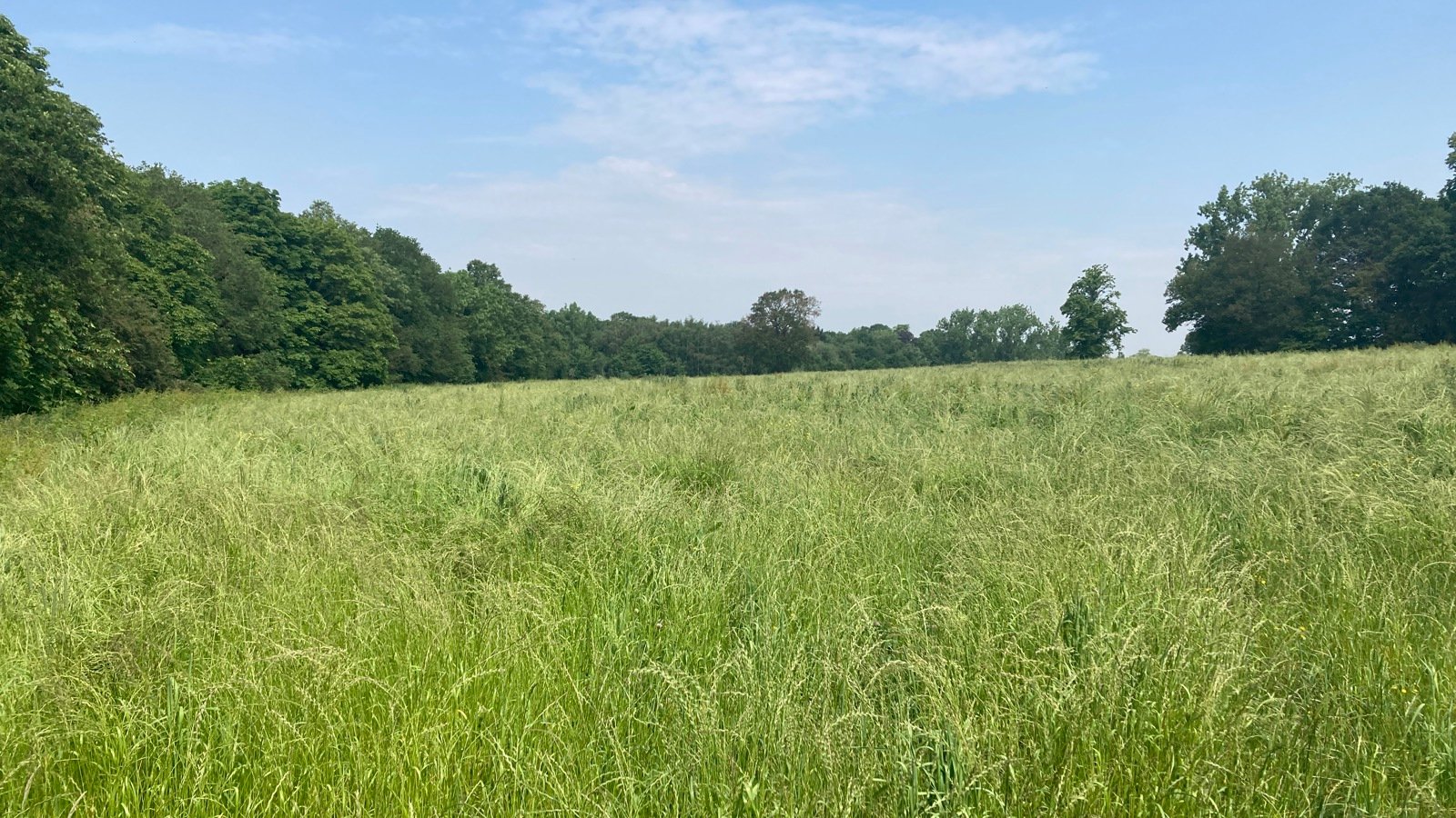 Image of Aldenham Estate - Home Farm - Middlefields (4)