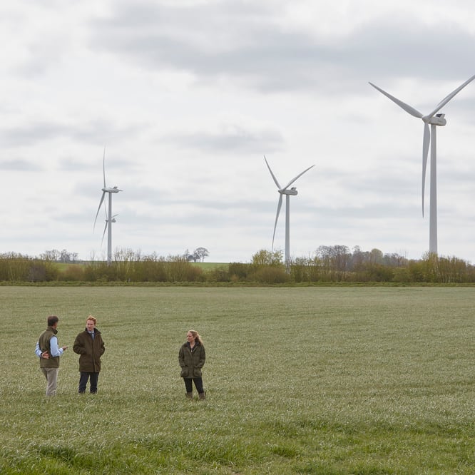 Take strategic advice on maximising the value of my land