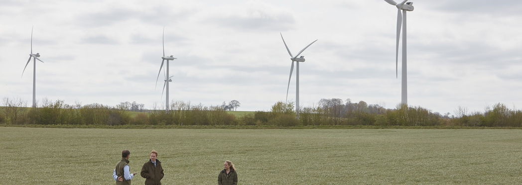 Take strategic advice on maximising the value of my land