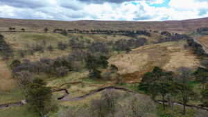 County Durham picture 4