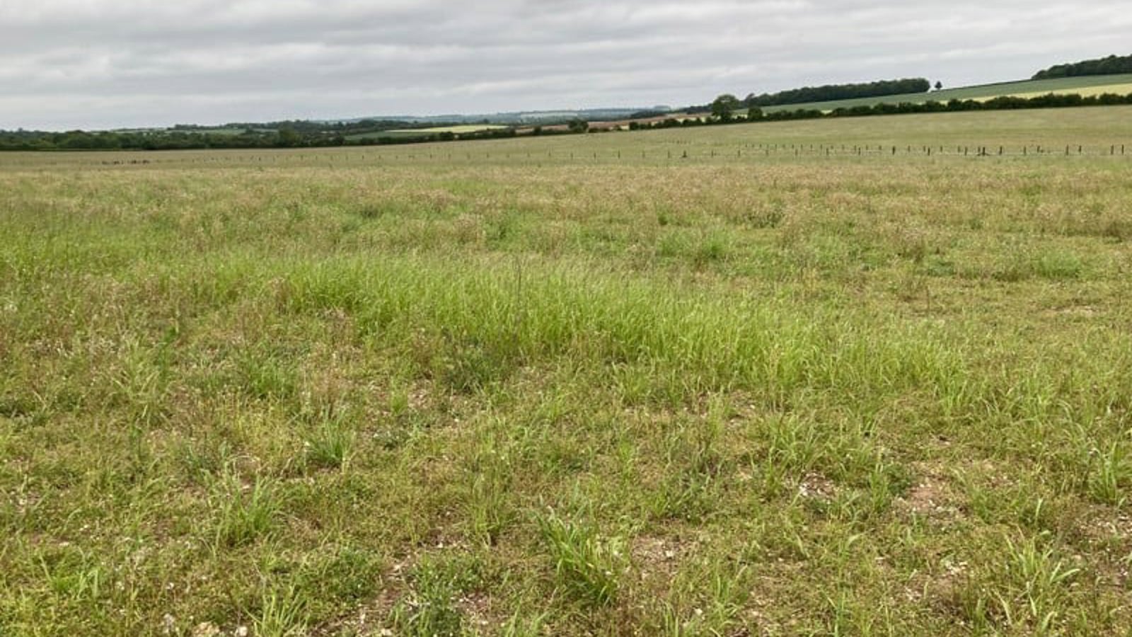 Image of lower-vally-farm-