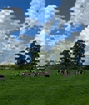 Manor Farm, Aylesbury