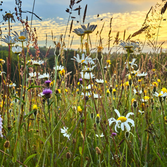 Image of North Yorkshire