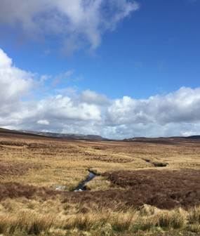 Image creditation: UKCEH