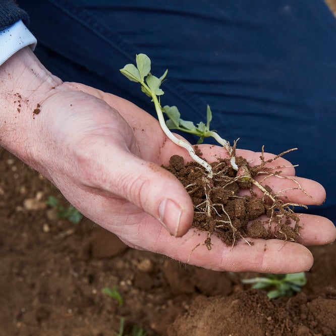 Fordham_Wet_Woods_And_Great_Wilbraham_210421 39