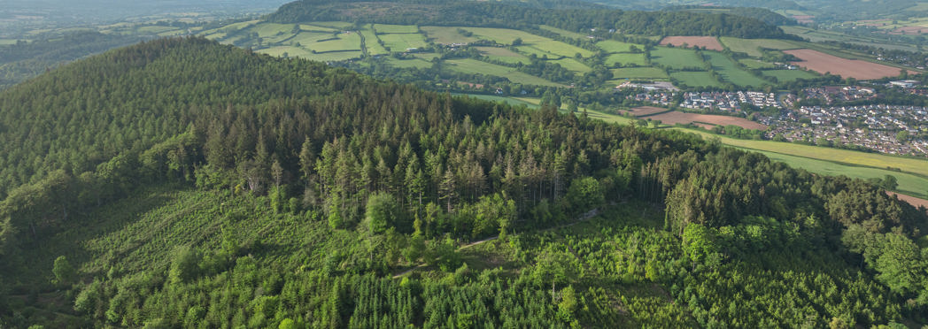 Image of DJI_20260521184504_0115_D