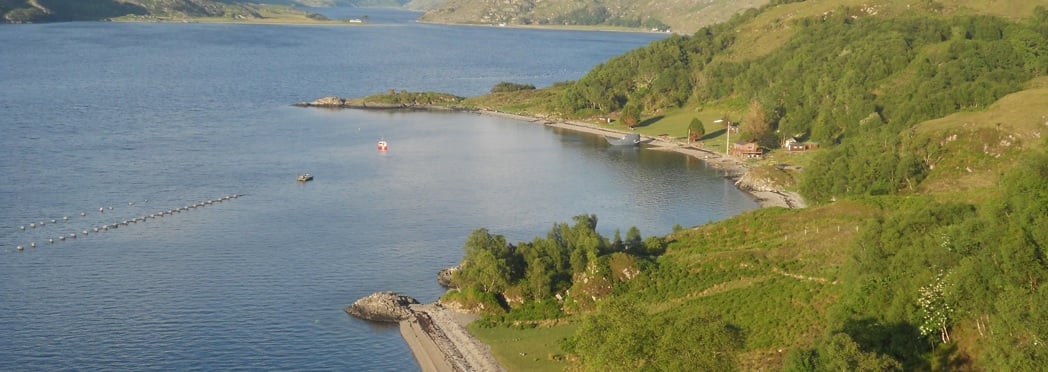 Ardintigh aerial sml