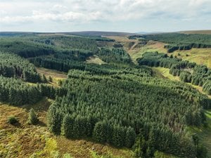 Northumberland, NE19 1TZ picture 5