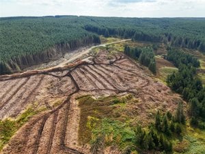 Northumberland, NE19 1TZ picture 6