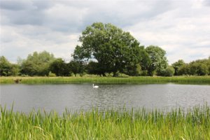 Wellingborough, Northamptonshire, NN29 7PF picture 1