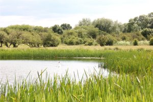 Wellingborough, Northamptonshire, NN29 7PF picture 3