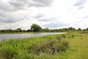 Wellingborough, Northamptonshire, NN29 7PF picture 5