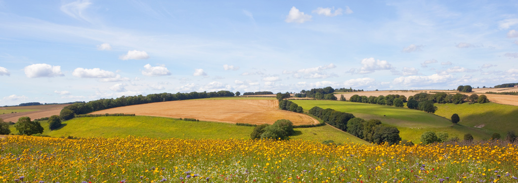 Image of AdobeStock_167963803