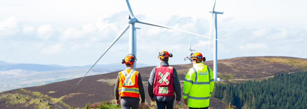 Image of Birnock Forest – Scotland 62